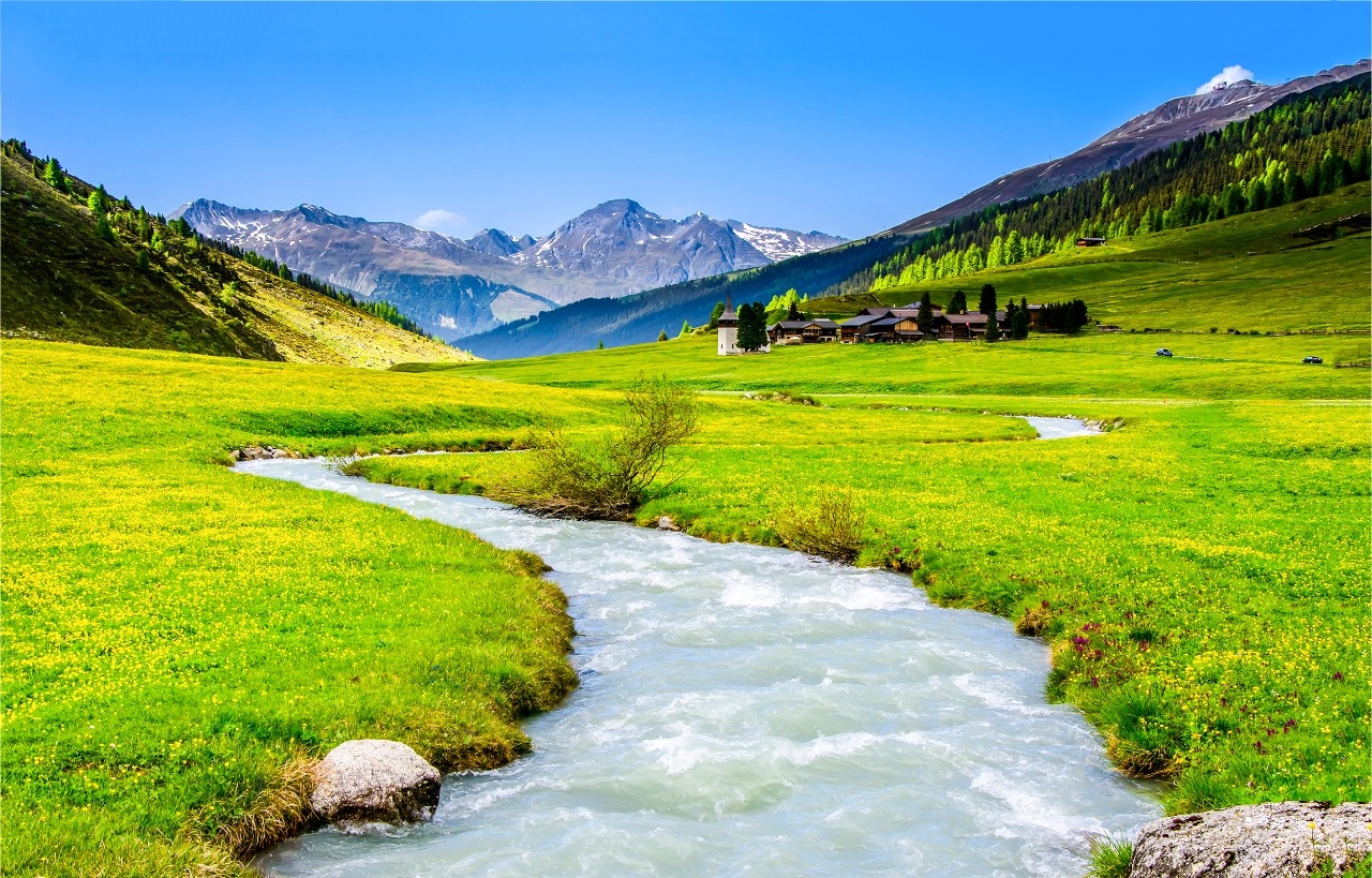 Paisaje verde