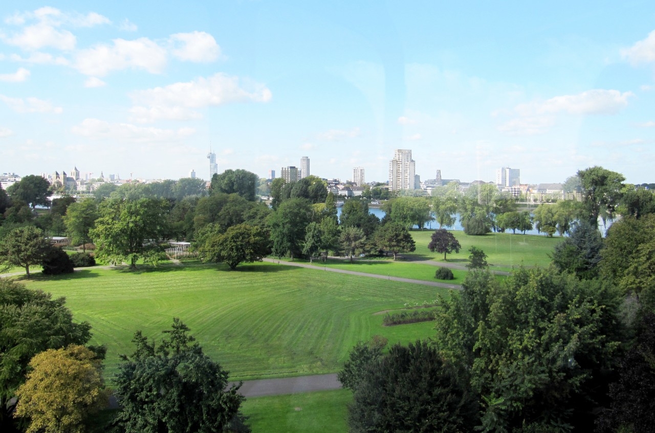 Rumbo a cero emisiones netas