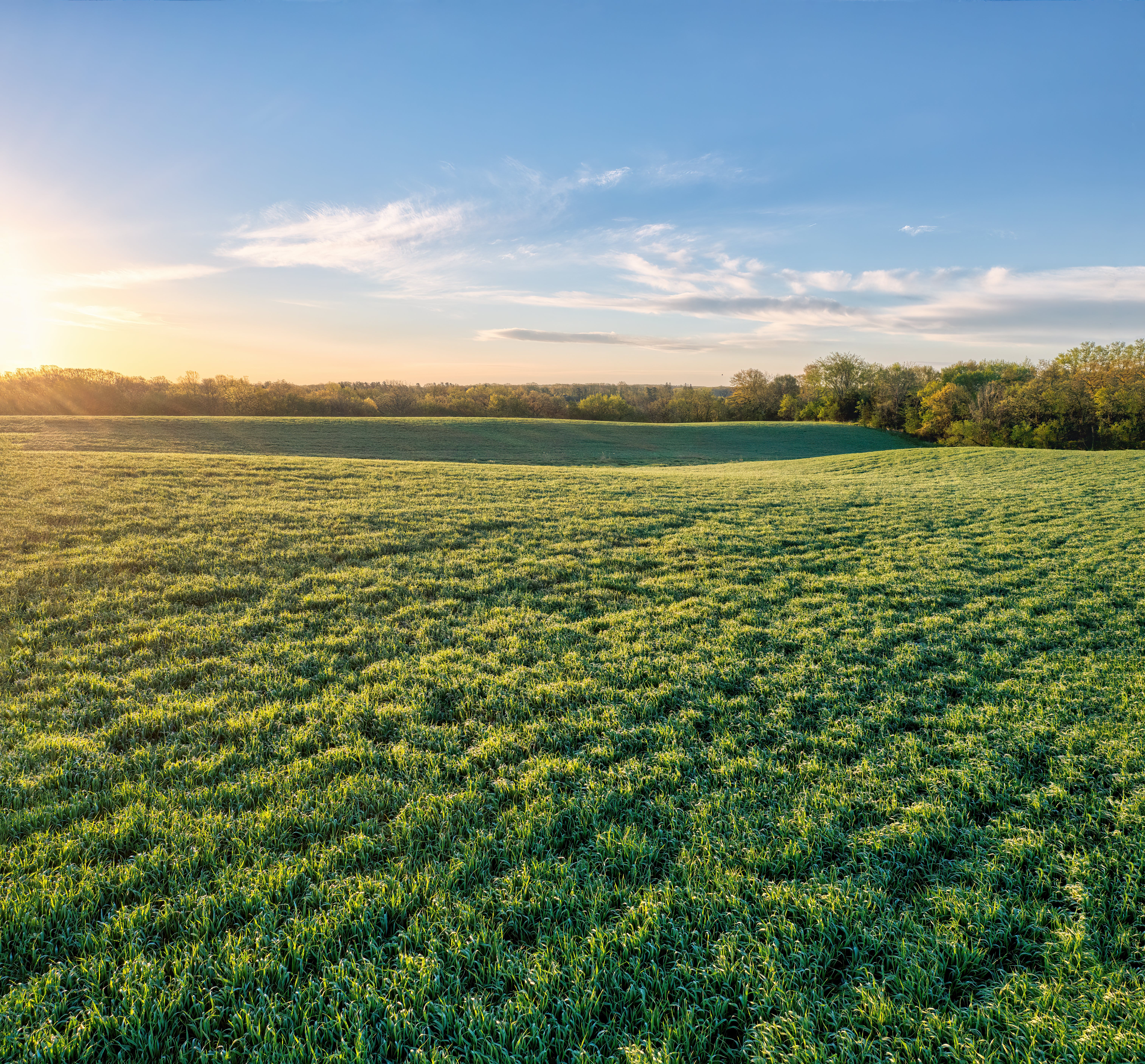 La descarbonización en la industria del automóvil